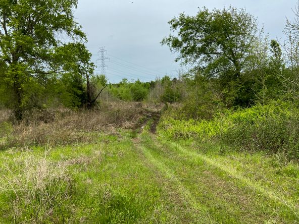 00 CR 3109, Omaha, TX 75571